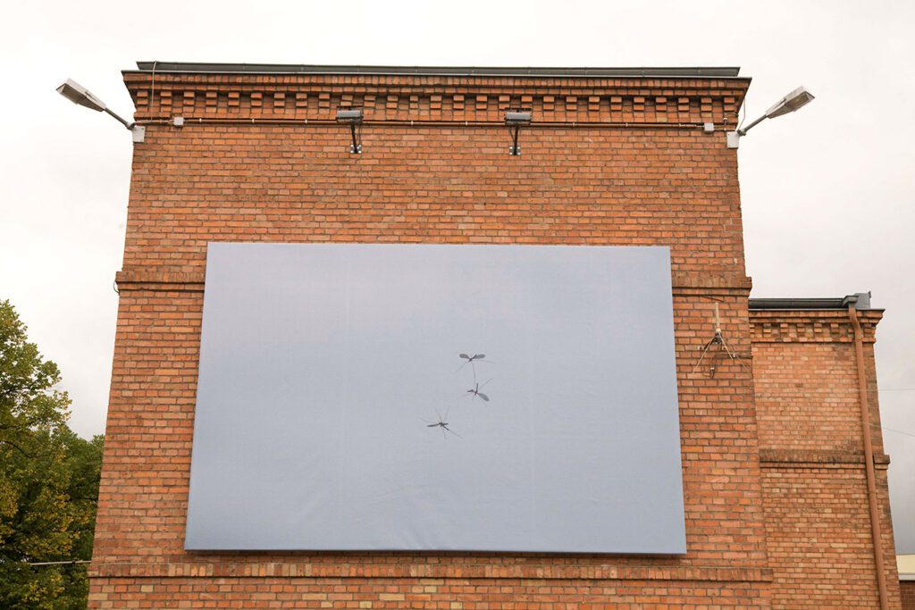 zne-berlin-2010-Hakansson-2