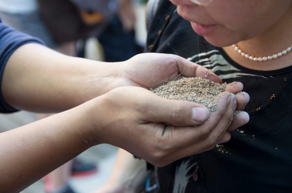 ZNE-Peking-2012-workshop-Ayumi-Matsuzaka-6