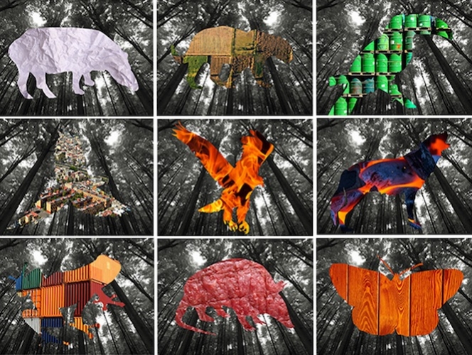 ZNE-Puebla-2013-azisa-alaoui