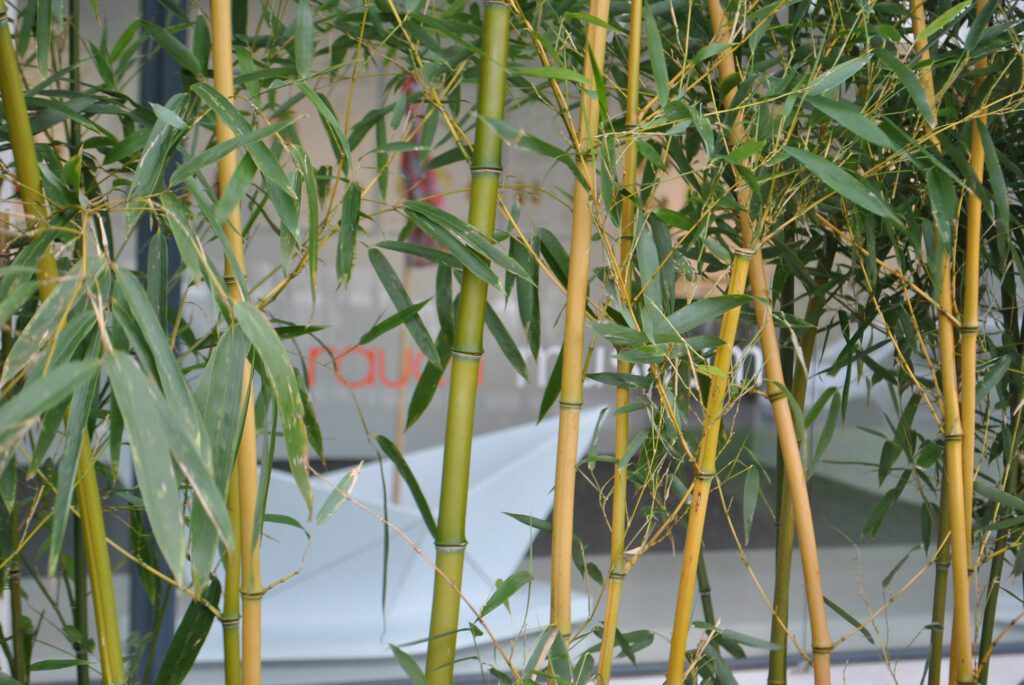 ZNE-rauchmuseum-Freudenberg-2015©JP_34