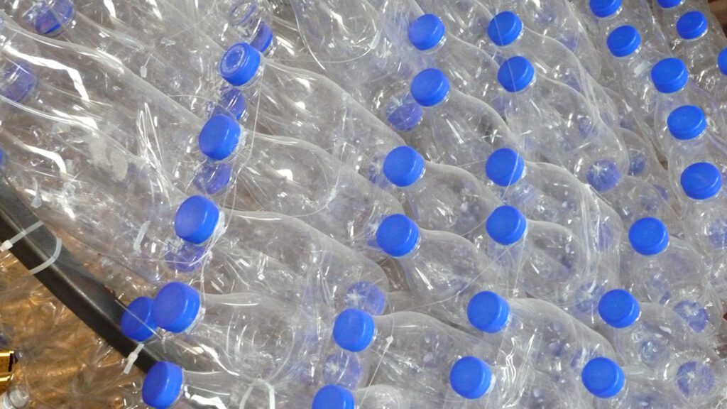 zne-dessau-2011-miguel-rothschild