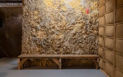 Workshop – Insulation materials from raw wool