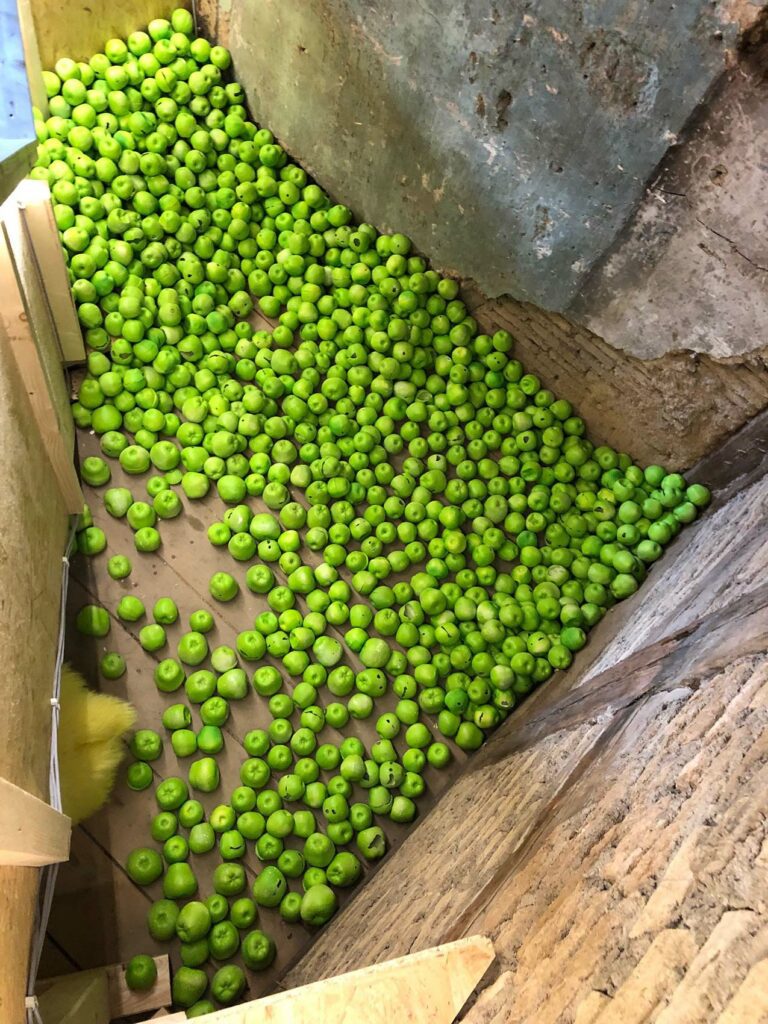 ZNE-Erfurt-2019-Michael-Schmidt