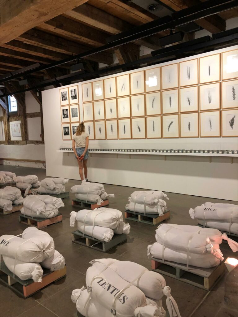 zne-erfurt-2019-PetermanSchulz-Dornburg